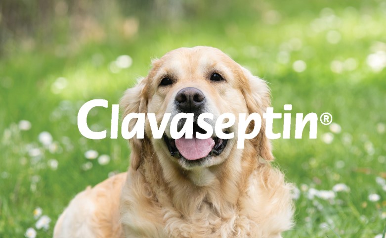 Clavaseptin
