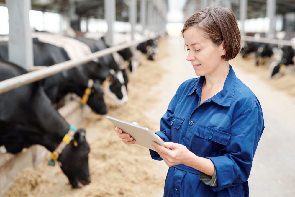 Vétérinaire bovin - Dairy Veterinarian