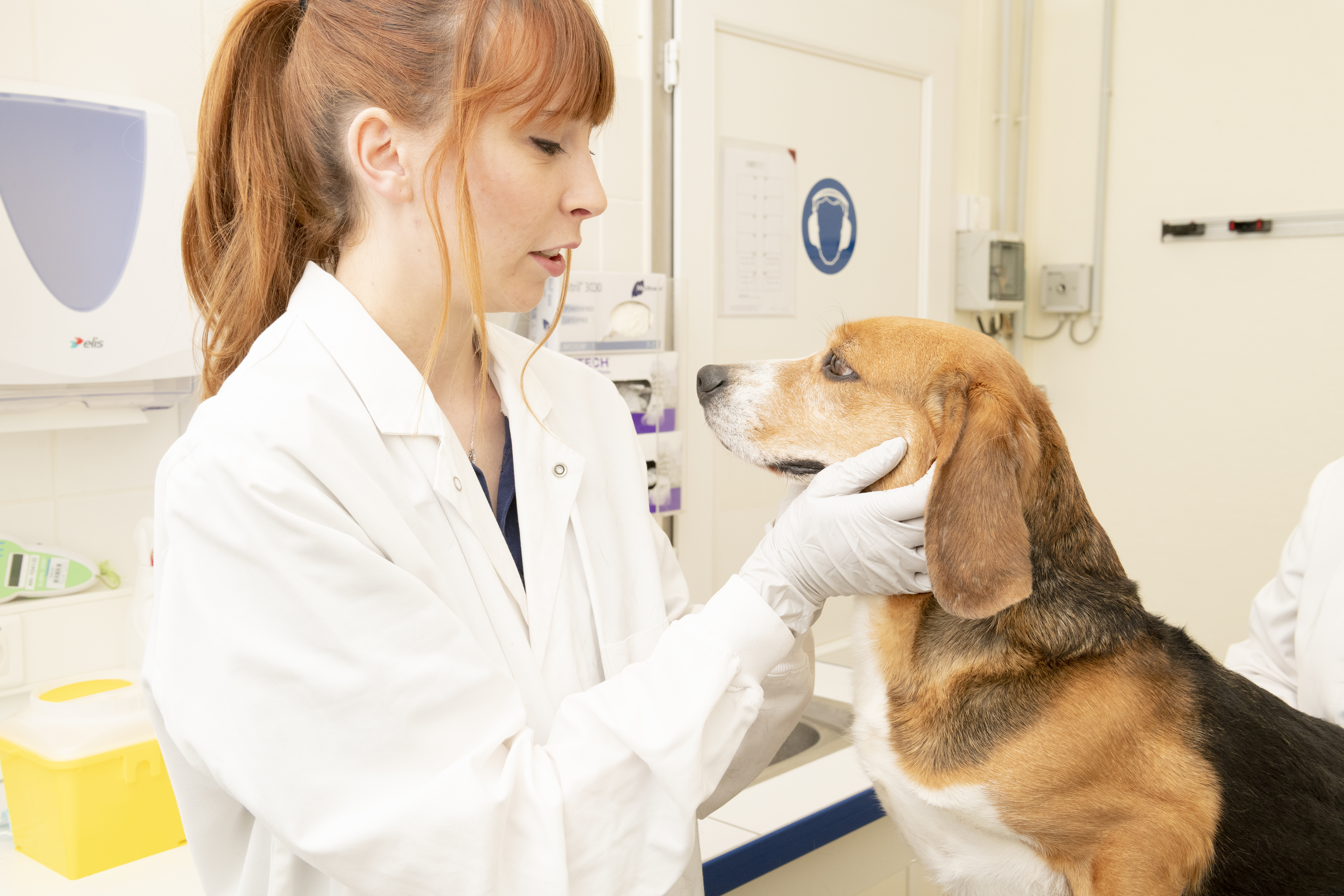 Dedicated to animal health - Dédiés à la santé animale