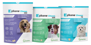 ZYLKENE GROUPSHOT