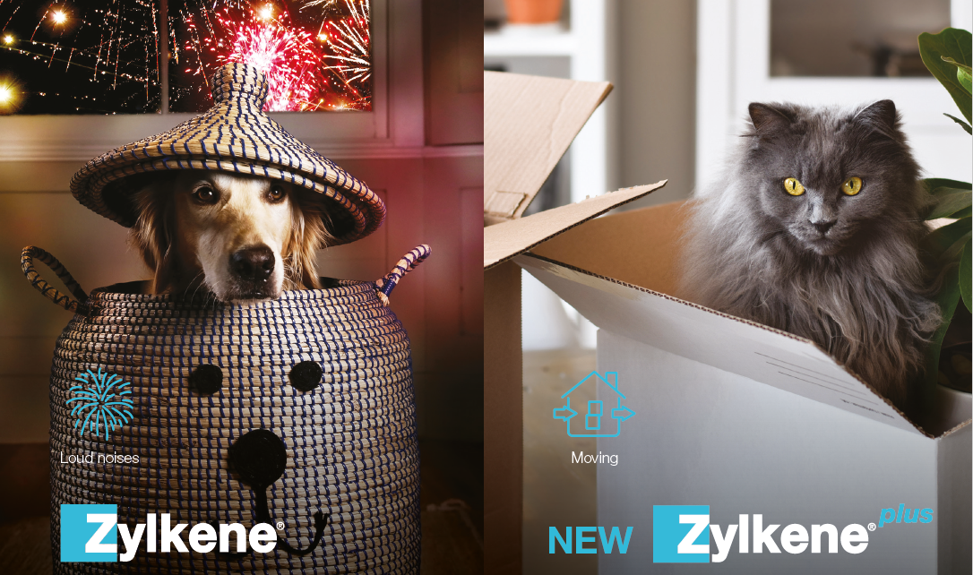 New Zylkene Plus