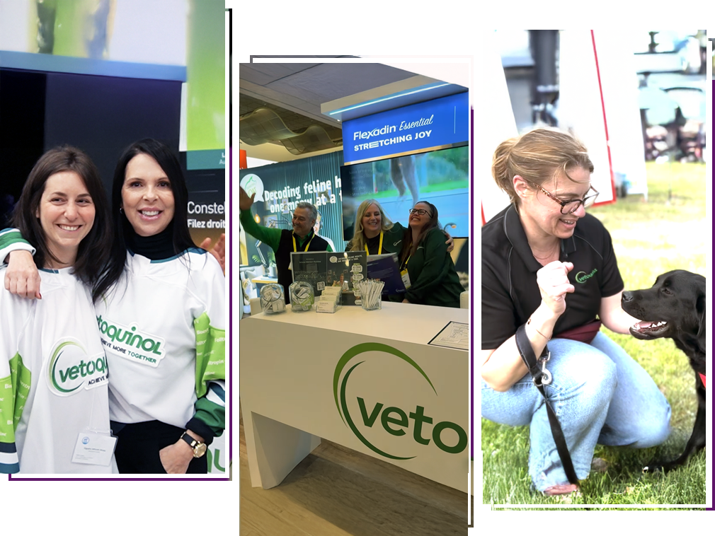 website-pic-carrees-page-v6