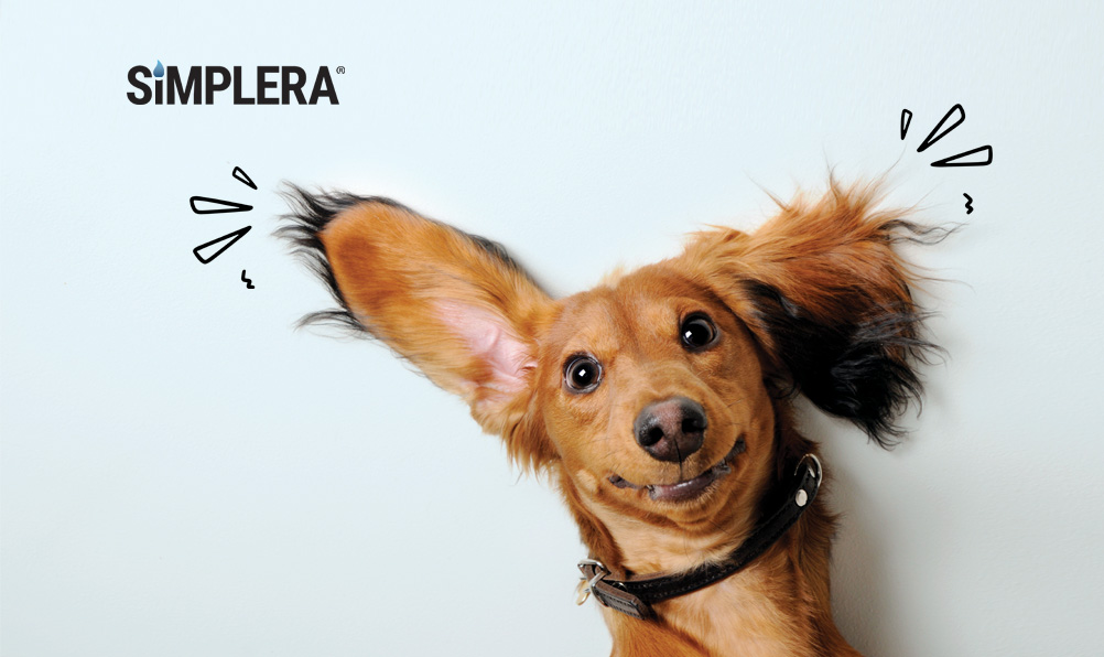 Simplera